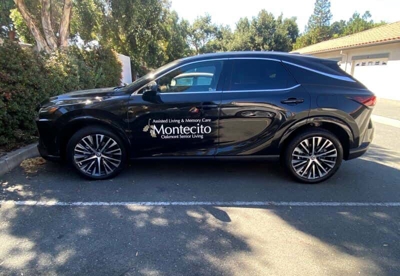 Vehicle Graphics Photo